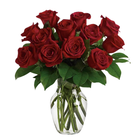 12 Red Roses