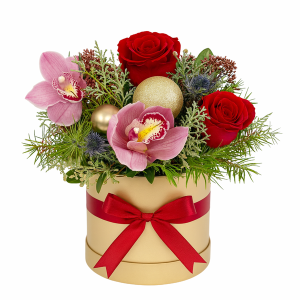 Santa’s Secret Surprise