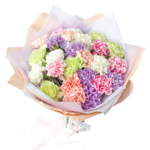 30 Mixed Carnations