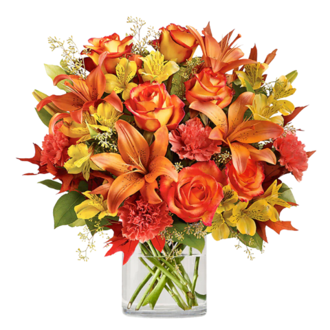 Autumn Romance