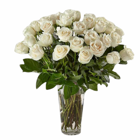 Two Dozen White Roses