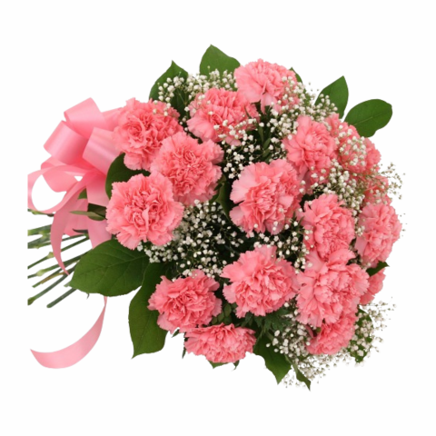 18 Pink Carnations Bouquet