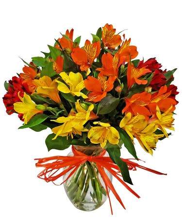 ALSTROEMERIA BRIGHTS