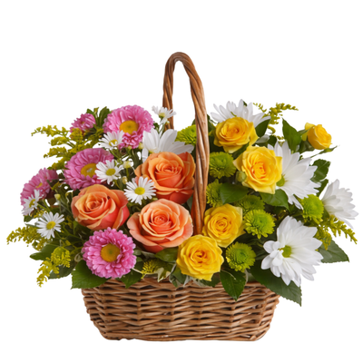 Harmony Basket
