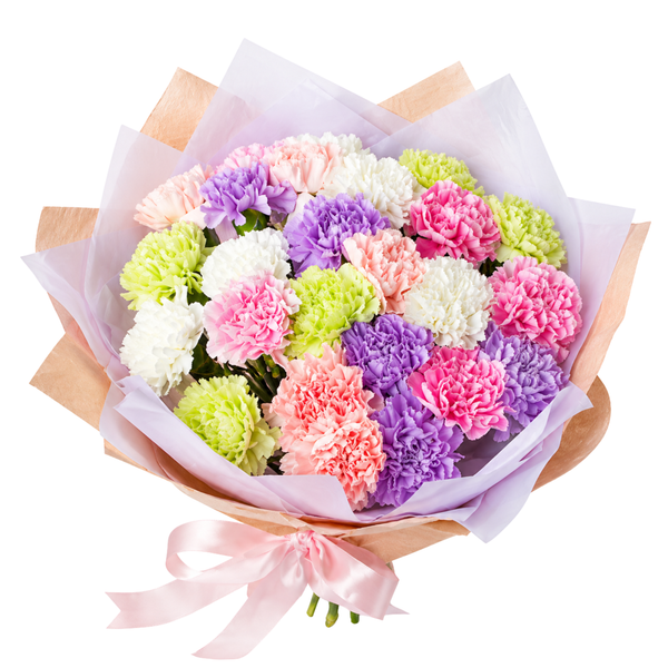 30 Mixed Carnations