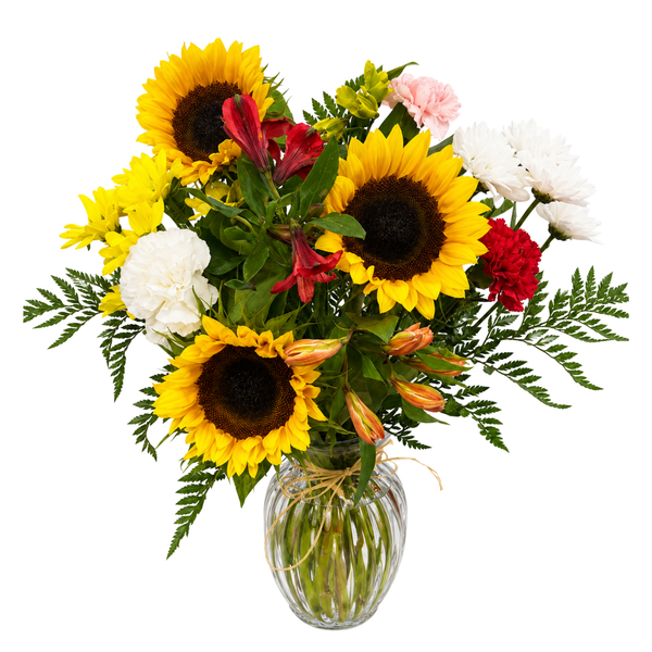 You Are My Sunshine